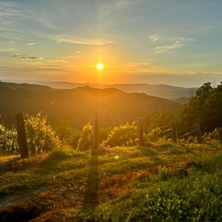 1929 Wine Food Relax Agriturismo Acqui Terme ภายนอก รูปภาพ
