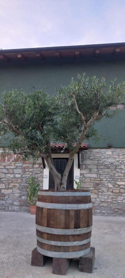 1929 Wine Food Relax Agriturismo Acqui Terme ภายนอก รูปภาพ