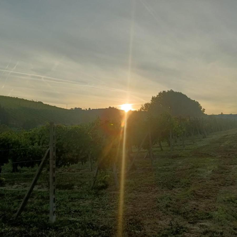 1929 Wine Food Relax Agriturismo Acqui Terme ภายนอก รูปภาพ