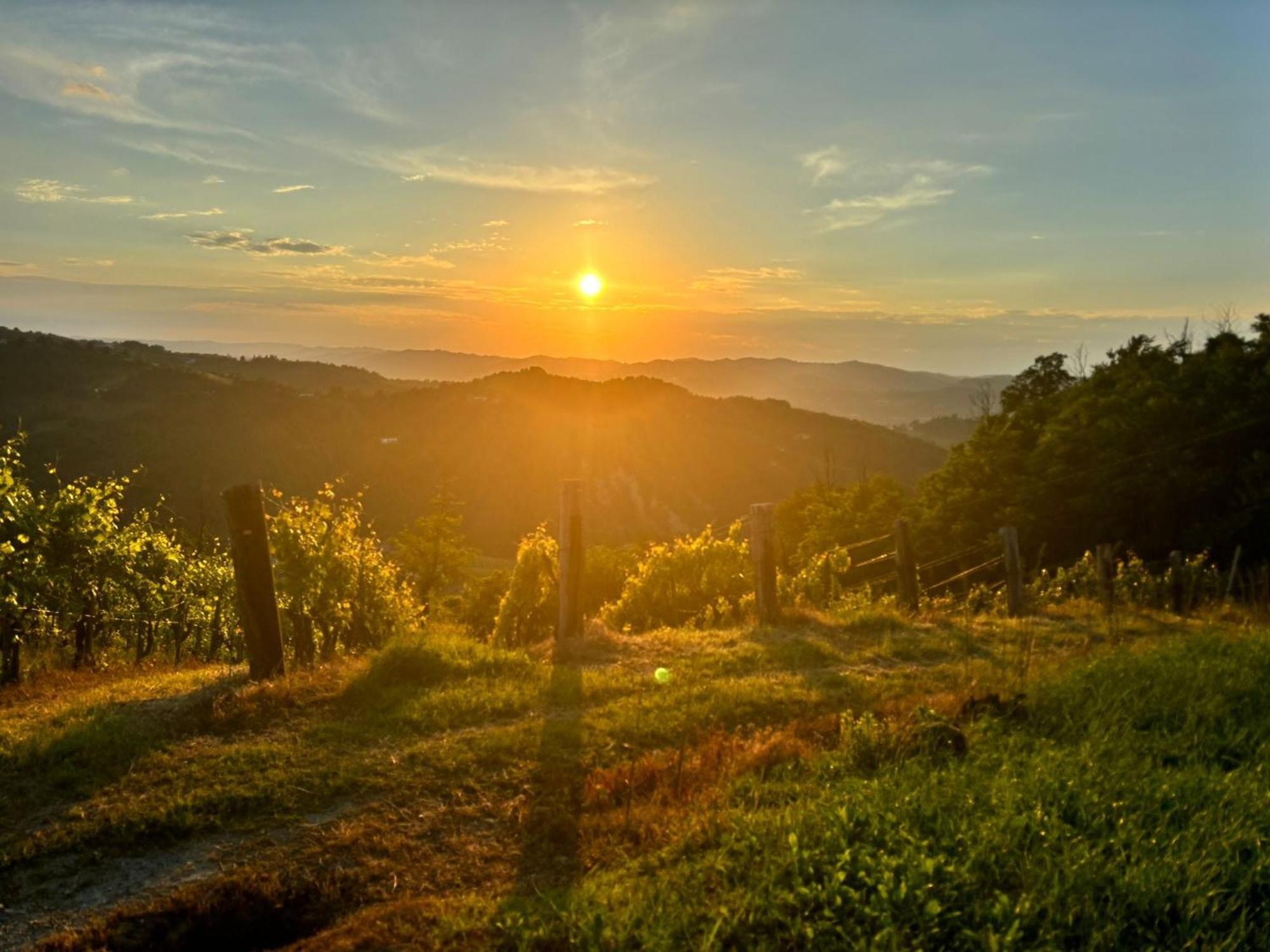 1929 Wine Food Relax Agriturismo Acqui Terme ภายนอก รูปภาพ